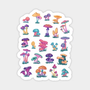 Colorful Vintage Mushroom Chart Magnet