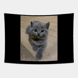 the blue cute cats Tapestry