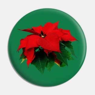 Poinsettias - Poinsettia and Leaves Pin