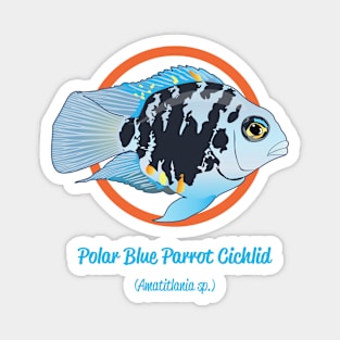 Polar Blue Parrot Cichlid Magnet