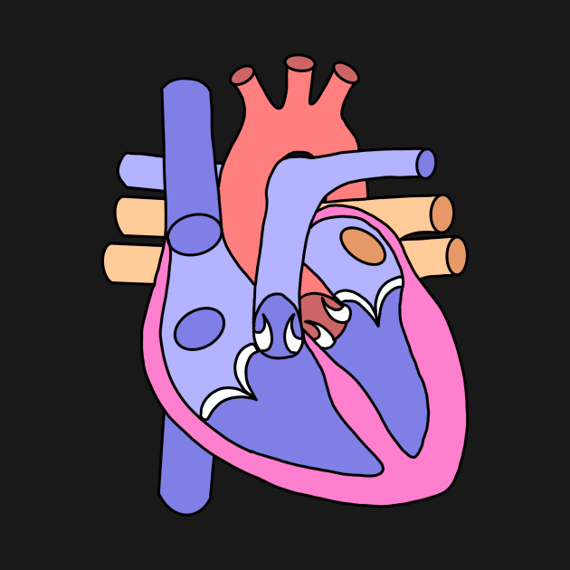 Anatomical Heart by maddie55meadows