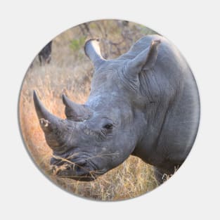 White rhinoceros rhino in Kruger National Park, South Africa Pin