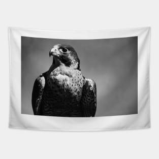 Peregrine Falcon Black and White Tapestry