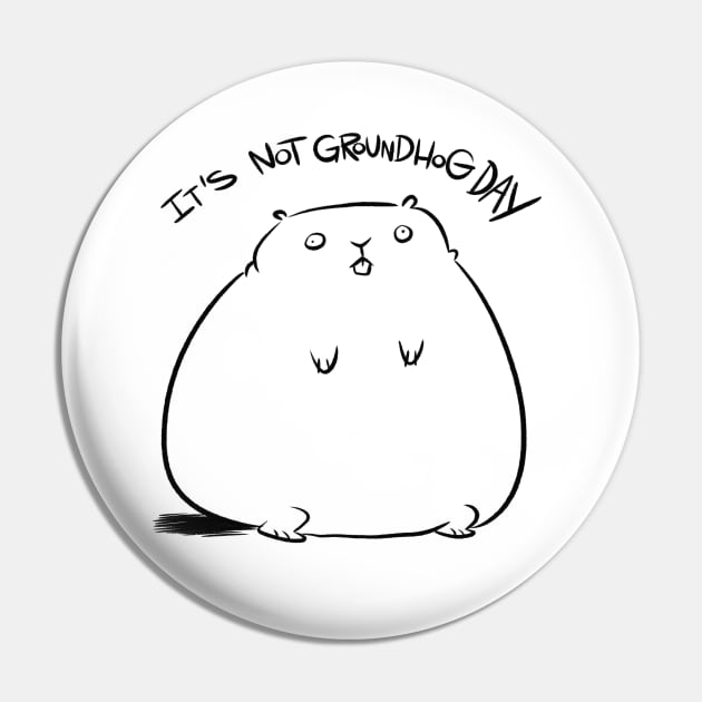 It's not Groundhog Day Pin by westinchurch