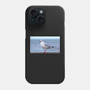 beach seagull seaside traveller bird sea gull ocean scene Phone Case