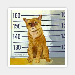 Criminal Kitty! Magnet