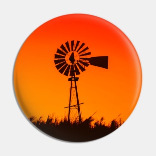 Windmill in sunset with funny lion Pin