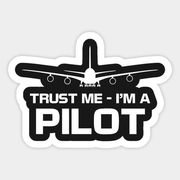Trust Me I/'m A Pilot Kids Printed Hoodie