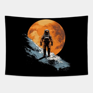 Landed Tapestry