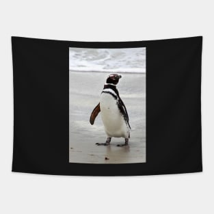 Magellanic Penguin Strolling on the Beach Tapestry