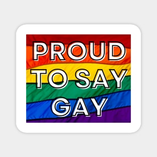 Proud to Say Gay - Pride Flag - Oppose Don't Say Gay Bill - LGBTQIA2S+ Magnet