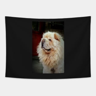 Tibetan Mastiff Tapestry