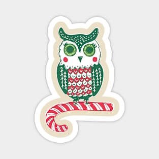 Hope your Holidays are a Hoot! Magnet