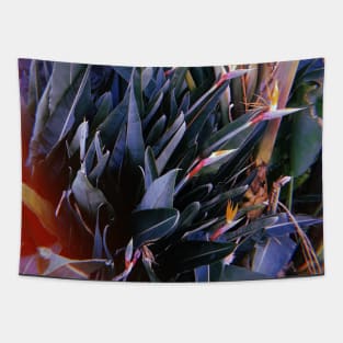 Birds Of Paradise Flowers. California Tapestry