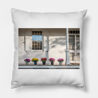 Mums on Porch Pillow