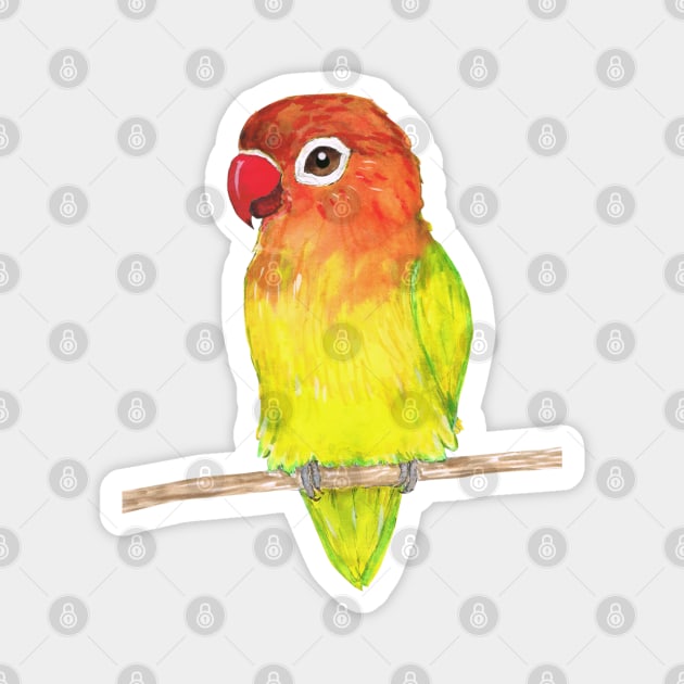 Cute yellow Fischer's lovebird Magnet by Bwiselizzy