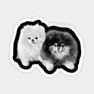 Pomeranian Pencil Art Magnet