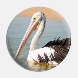 Australian Pelican Pin