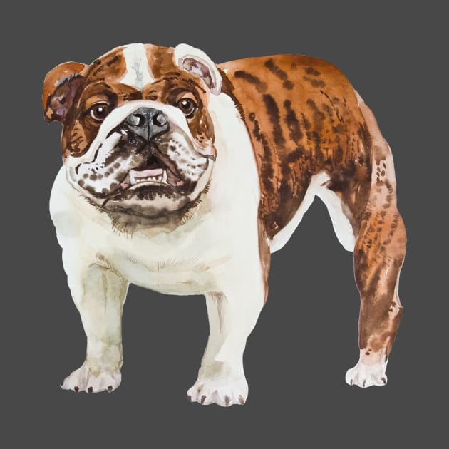 english bulldog by VicaVeresk