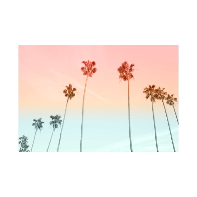 Cotton Candy Sky Palm Trees by PixDezines