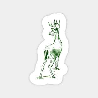 Curious Deer (green) Magnet