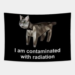 I Am Contaminated With Radiation Funny Cat Meme Shirt / Ironic Shirt / Weirdcore Clothing Tapestry