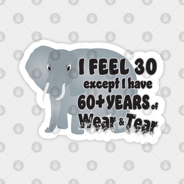 Elephant - I Feel 30 60 Wear Tear Magnet by KEWDesign