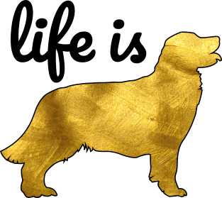 Golden Retriever Dog Gift Shirt Life Is Golden Magnet