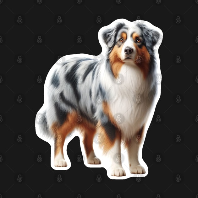 Australian Shepherd by millersye