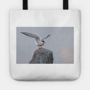 Common Tern Tote