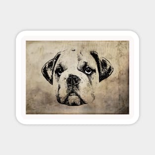 Bulldog Magnet