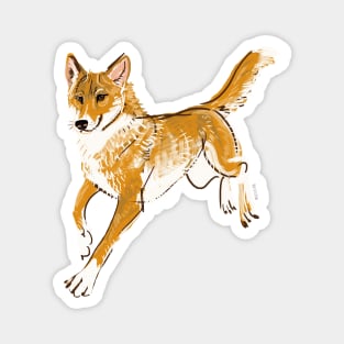 Ginger Alpine Dingo Magnet