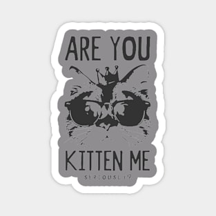 Are you Kitten Me? Magnet