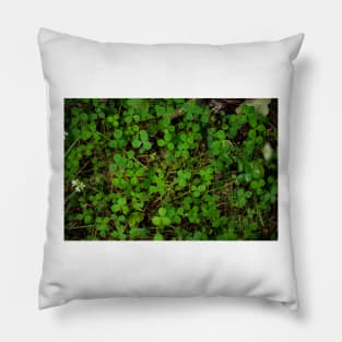 More Clovers! Pillow