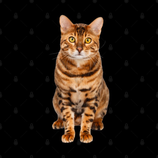 Amazing Bengal Cat by PrintArtdotUS