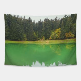 Forest Lake With Reflection In Water Tapestry