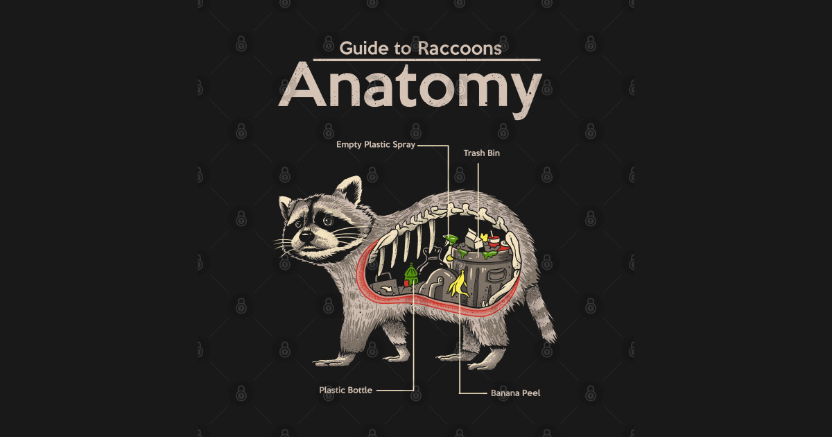 Anatomy of a Raccoon - Raccoon - T-Shirt | TeePublic