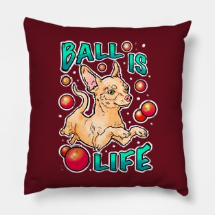 Ball is life! Chihuahua playing Pillow