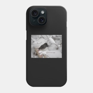 Dark eyed Junco Phone Case