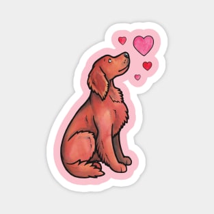 Irish setter love Magnet