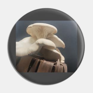 Oyster Mushroom Pin