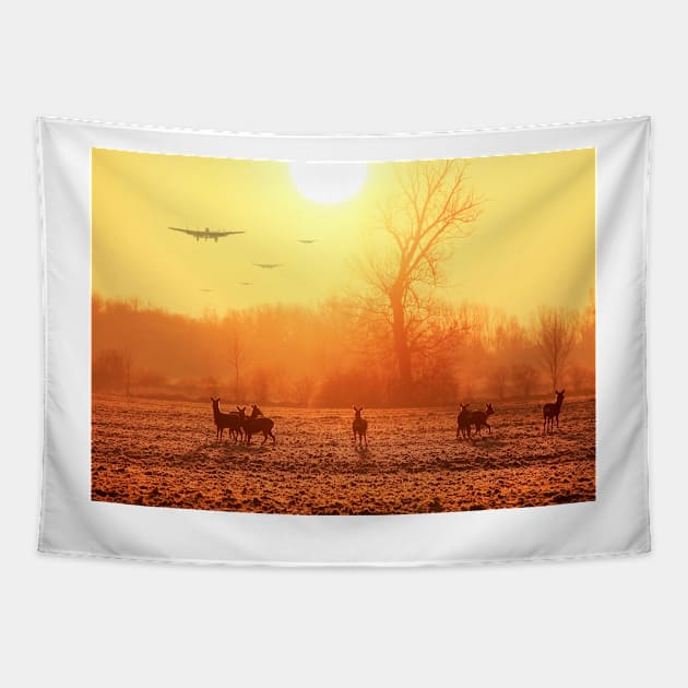 Buzzing the Deer Tapestry by SteveWard