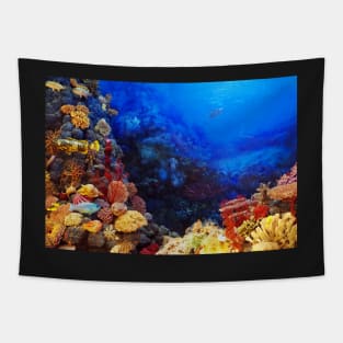 Oceanic Colored Coral Tapestry