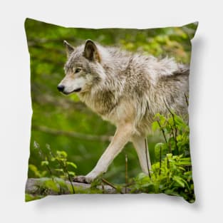 Timber Wolf Pillow