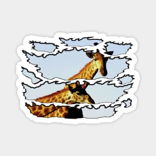 Ripped Wildlife Blue Sky Giraffe Magnet