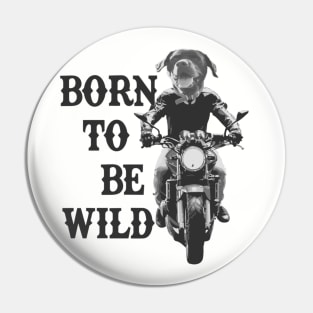 Born to Be Wild Biker Dog Pin