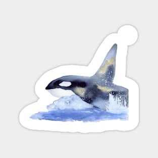 Orca in Watercolor and Gold Magnet