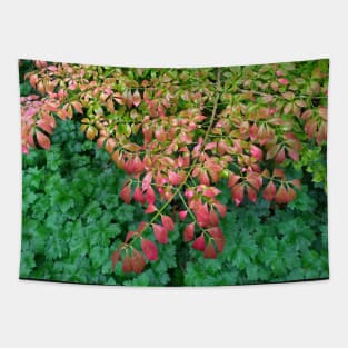 Green Spring Tree - red leaves Tapestry