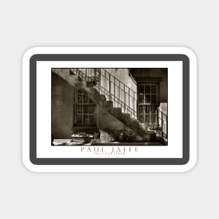 Savannah staircase` Magnet