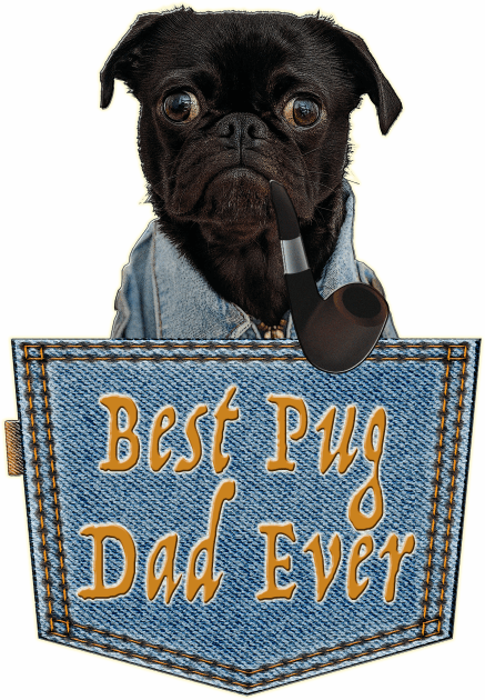 Daddy Pug; The Best Pug Dad Gift Kids T-Shirt by aastal72